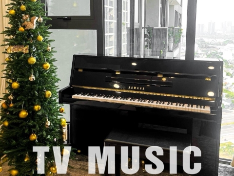 Bộ Sưu Tập Đàn Piano Upgright