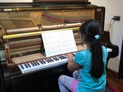 Hình Ảnh Bàn Giao Đàn