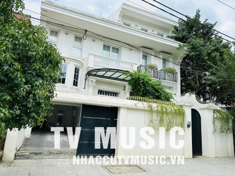 Bộ Sưu Tập Đàn Piano Upgright