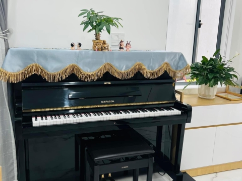 Bộ Sưu Tập Nhà Khách 