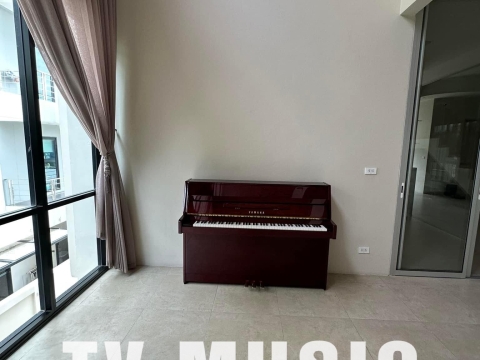Bộ Sưu Tập Đàn Piano Upgright