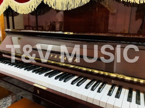 Bộ Sưu Tập Đàn Piano Upgright