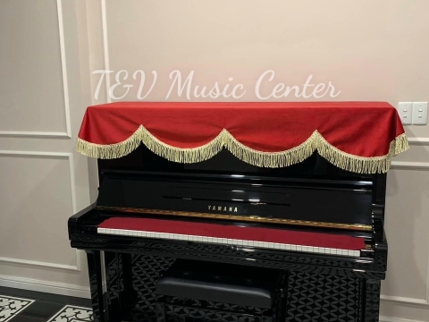 Hình Ảnh Bàn Giao Đàn