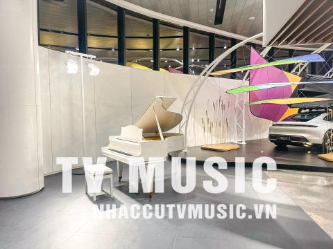 Bộ Sưu Tập Đàn Piano Upgright