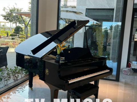 Bộ Sưu Tập Đàn Piano Upgright