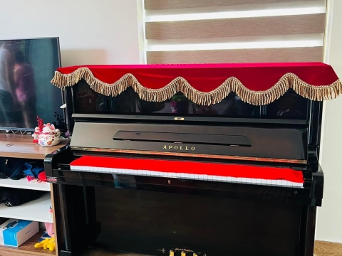 Bộ Sưu Tập Nhà Khách 