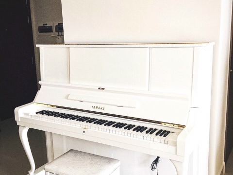 Màu Trắng Tinh Khôi