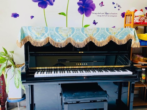 Bộ Sưu Tập Nhà Khách 