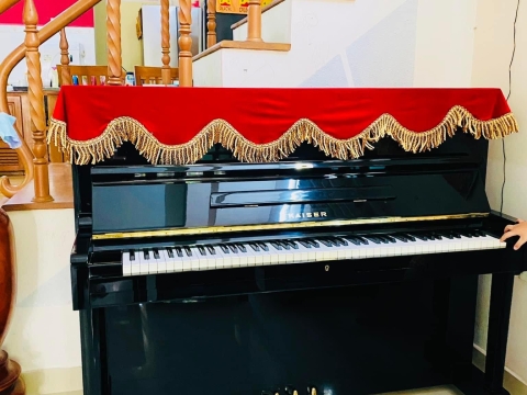 Bộ Sưu Tập Nhà Khách 