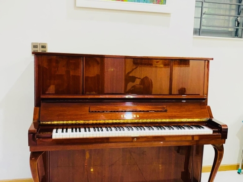 Bộ Sưu Tập Nhà Khách 