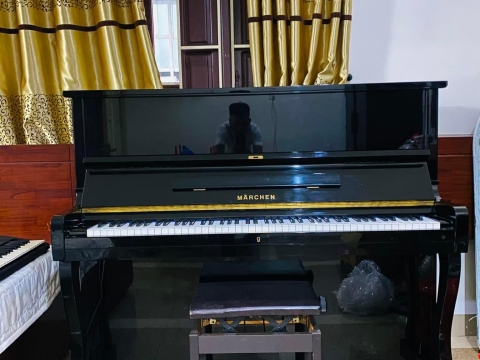 Bộ Sưu Tập Nhà Khách 