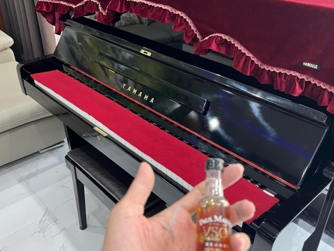 Bộ Sưu Tập Nhà Khách 