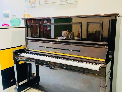 Bộ Sưu Tập Nhà Khách 