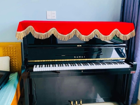 Bộ Sưu Tập Nhà Khách 