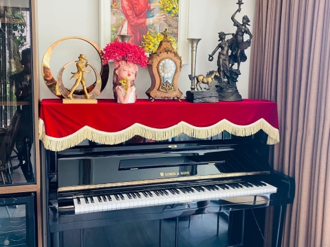 Bộ Sưu Tập Nhà Khách 