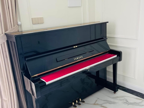 Bộ Sưu Tập Nhà Khách 