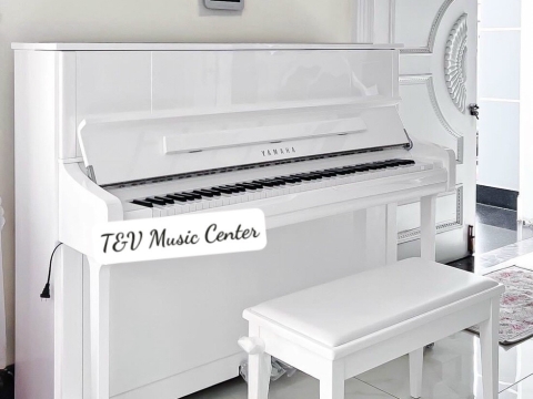 Màu Trắng Tinh Khôi