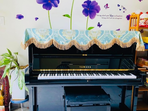 Bộ Sưu Tập Nhà Khách 