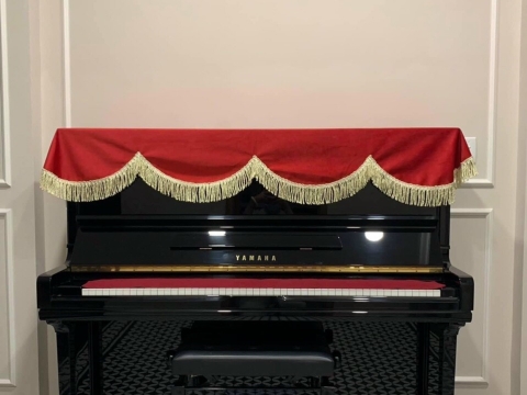 Hình Ảnh Bàn Giao Đàn