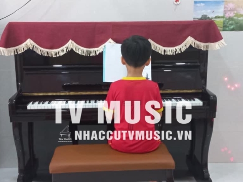 Bộ Sưu Tập Đàn Piano Upgright
