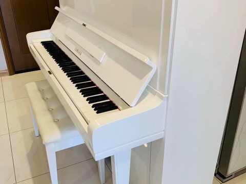 Màu Trắng Tinh Khôi