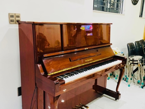 Bộ Sưu Tập Nhà Khách 