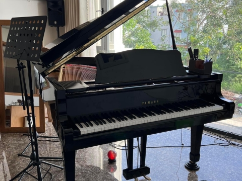 Bộ Sưu Tập Nhà Khách 