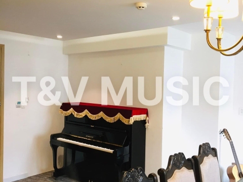 Bộ Sưu Tập Đàn Piano Upgright