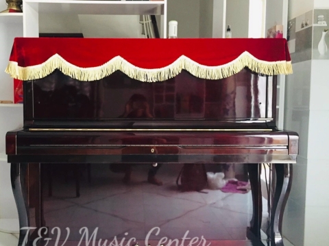 Hình Ảnh Bàn Giao Đàn