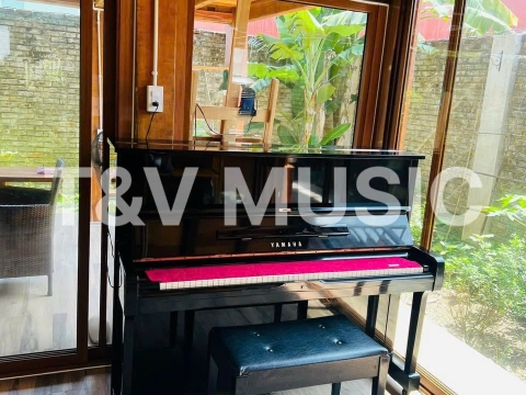 Bộ Sưu Tập Đàn Piano Upgright