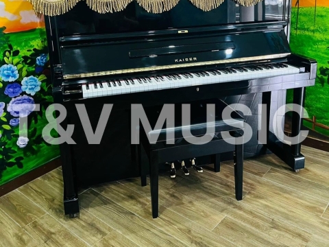 Bộ Sưu Tập Đàn Piano Upgright