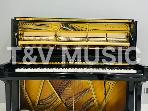 Bộ Sưu Tập Đàn Piano Upgright