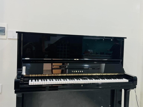 Bộ Sưu Tập Nhà Khách 