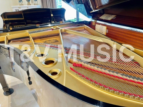 Bộ Sưu Tập Nhà Khách 