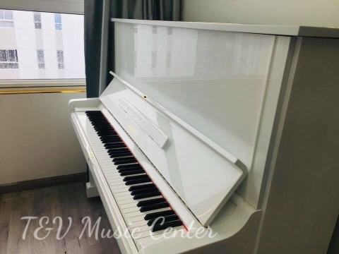 Màu Trắng Tinh Khôi