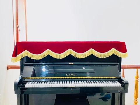 Bộ Sưu Tập Nhà Khách 