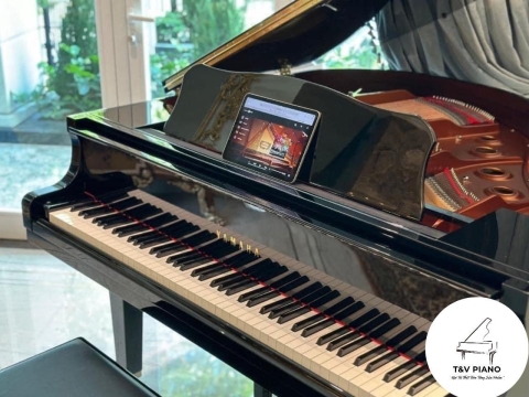 Bộ Sưu Tập Đàn Piano Upgright
