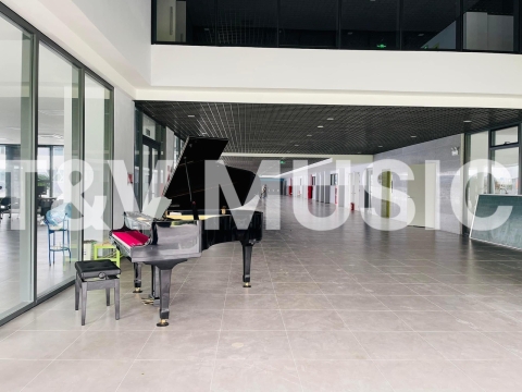 Bộ Sưu Tập Grand-T&V MUSIC 