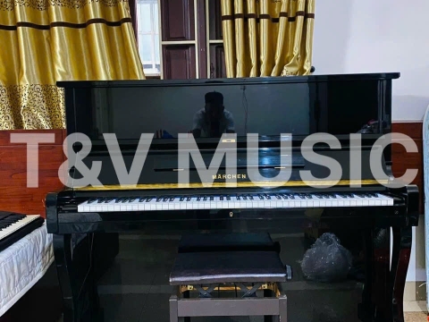 Bộ Sưu Tập Đàn Piano Upgright