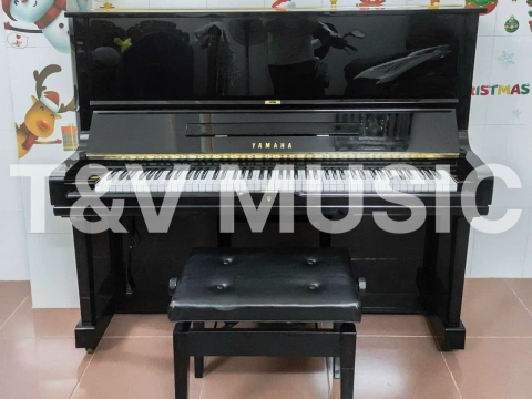 Bộ Sưu Tập Đàn Piano Upgright