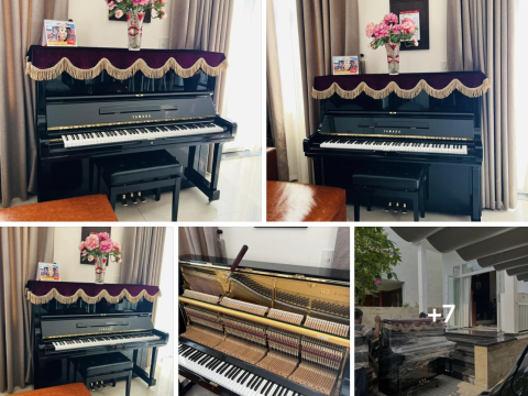 Bộ Sưu Tập Nhà Khách 