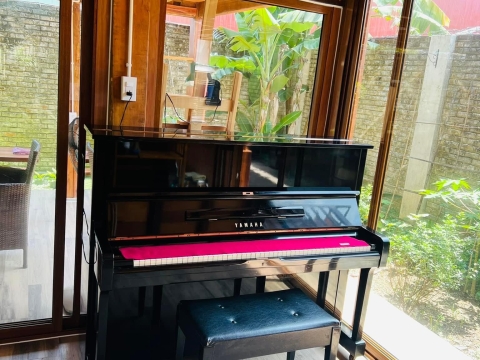 Bộ Sưu Tập Nhà Khách 