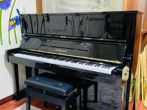 Bộ Sưu Tập Nhà Khách 