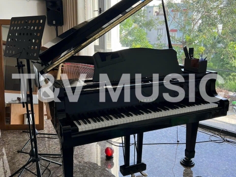 Bộ Sưu Tập Grand-T&V MUSIC 