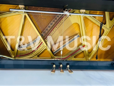 Bộ Sưu Tập Đàn Piano Upgright