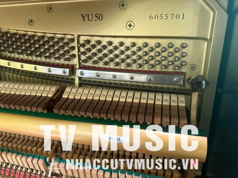 Bộ Sưu Tập Đàn Piano Upgright