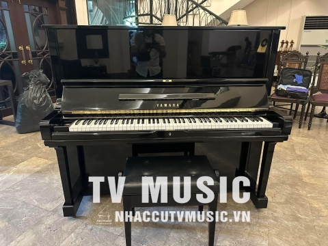 Bộ Sưu Tập Đàn Piano Upgright