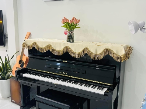 Bộ Sưu Tập Nhà Khách 