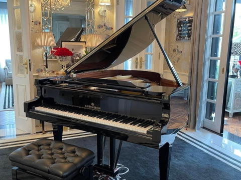Bộ Sưu Tập Đàn Piano Upgright