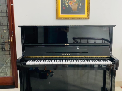 Bộ Sưu Tập Nhà Khách 